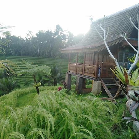 D'Ume Bendoel Homestay Jatiluwih Exterior photo