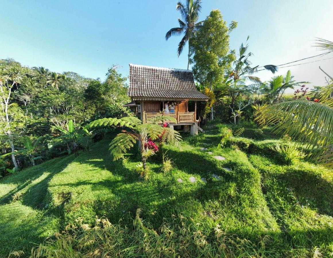 D'Ume Bendoel Homestay Jatiluwih Exterior photo