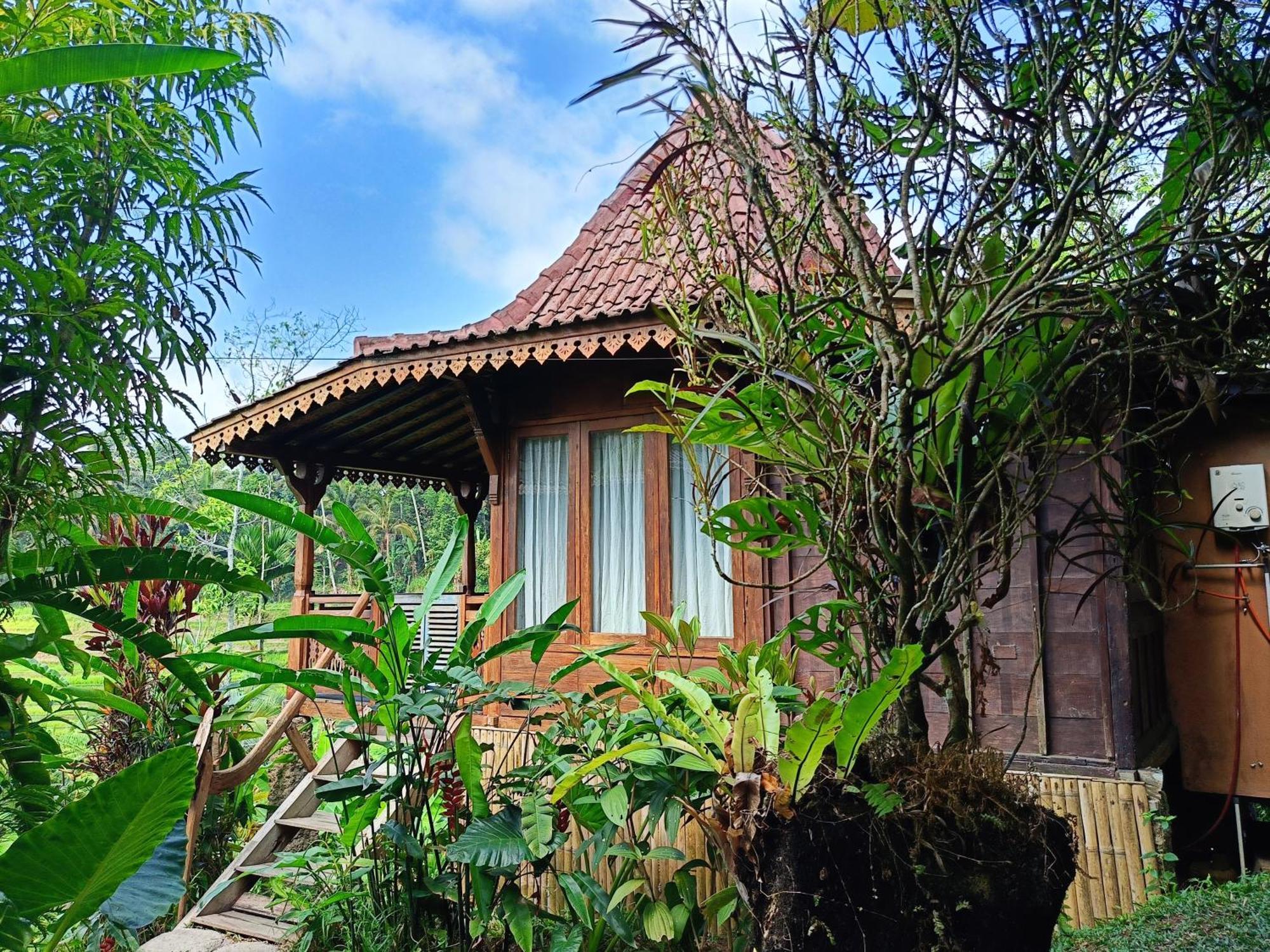 D'Ume Bendoel Homestay Jatiluwih Exterior photo