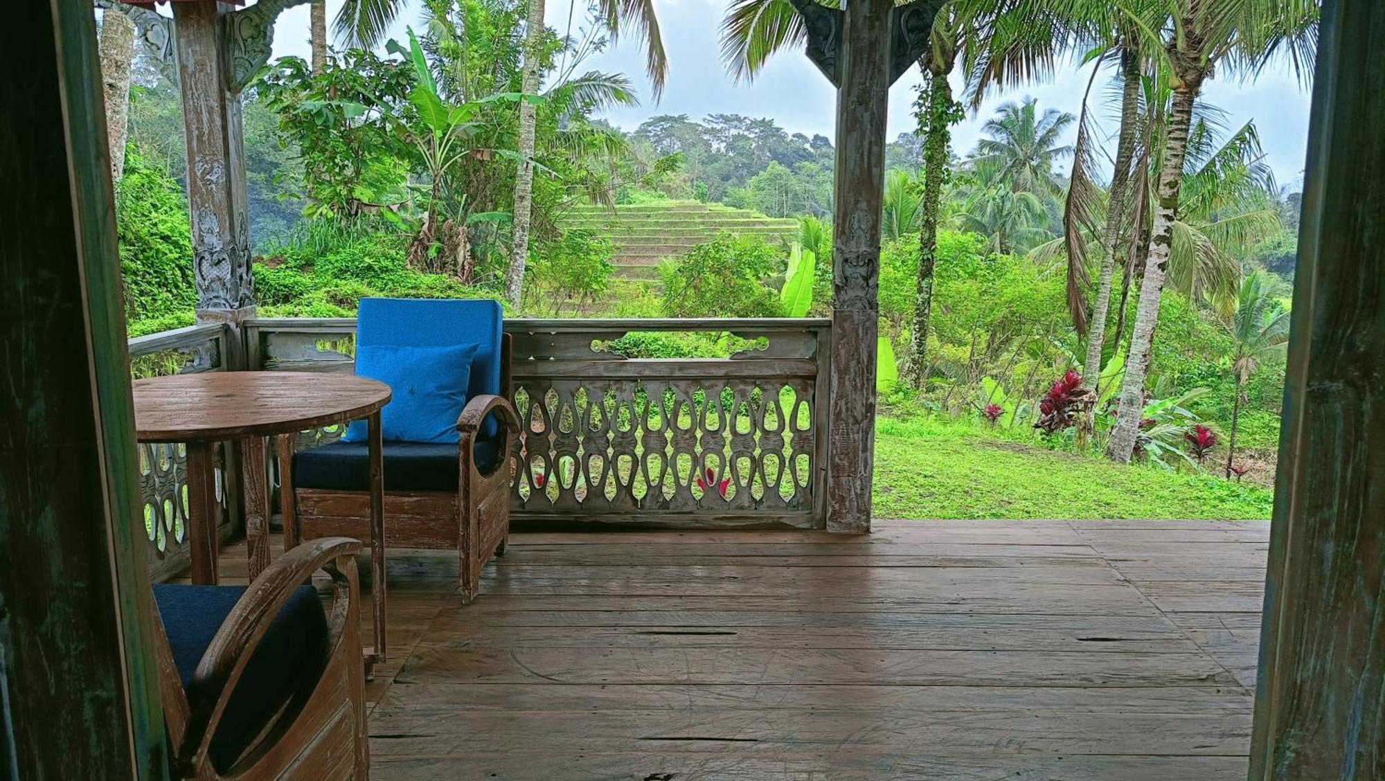 D'Ume Bendoel Homestay Jatiluwih Exterior photo